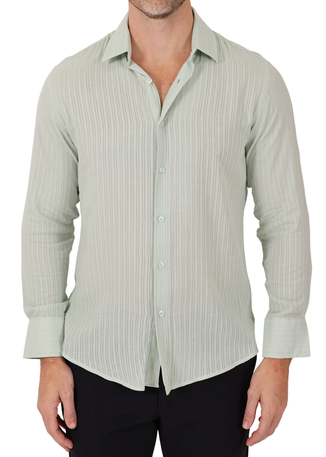 Sheer Stripe Long Sleeve Shirt